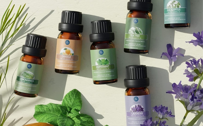 6 Piece Essential Oils Set