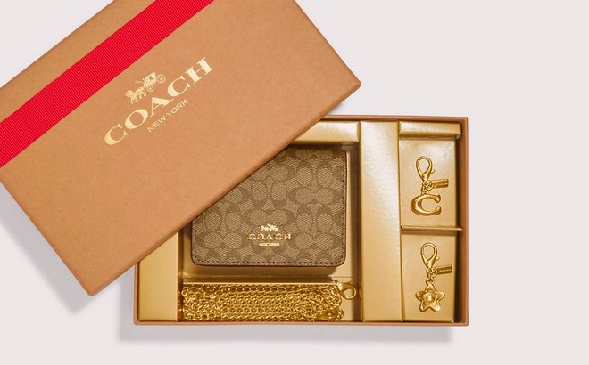 Coach Outlet Boxed Mini Wallet On A Chain In Signature Canvas