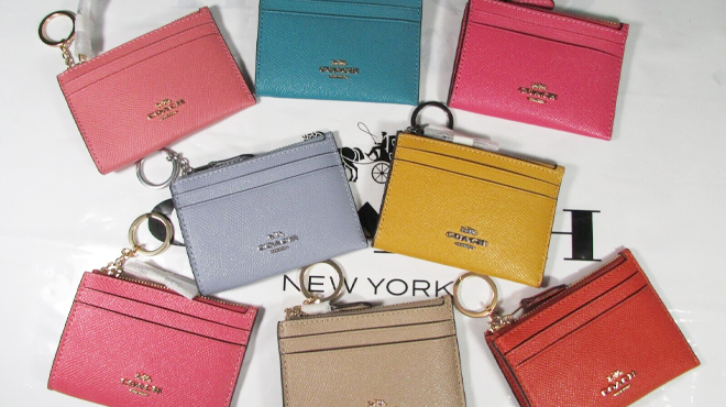 Coach Outlet Mini Skinny Id Case in Multiple Colors