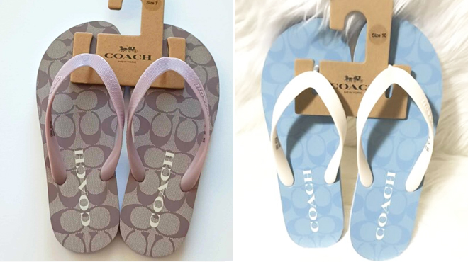 Coach Outlet Zak Flip Flops in Soft Lilac and Chambray Colors