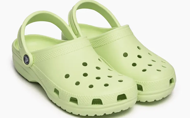 Crocs Adult Celery Classic Clogs