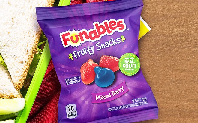 Funables Fruity Snacks, Back to School Snacks 40-Pack Pouches