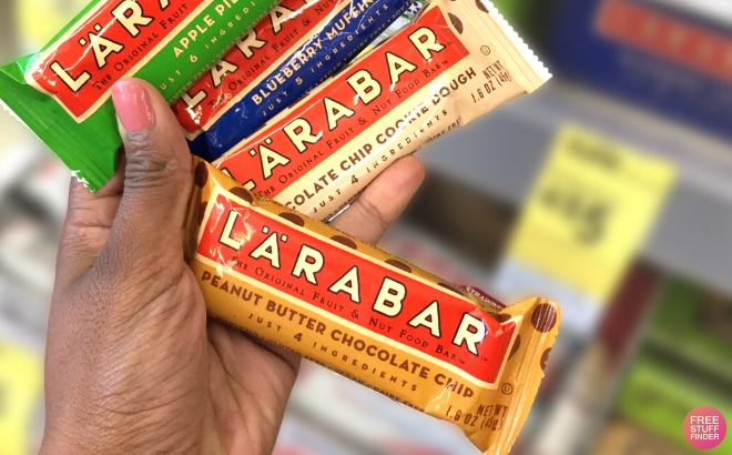 Larabar Chocolate Variety Pack 18 Count