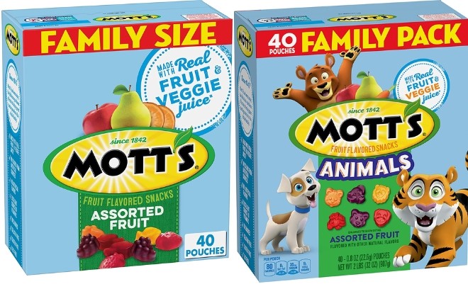 Motts Fruit Flavored Snacks 1