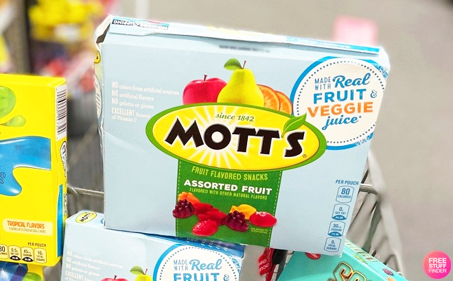 Motts Fruit Flavored Snacks Variety Value Pack 22 Count