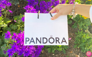 Person Holding a Pandora Paper Bag