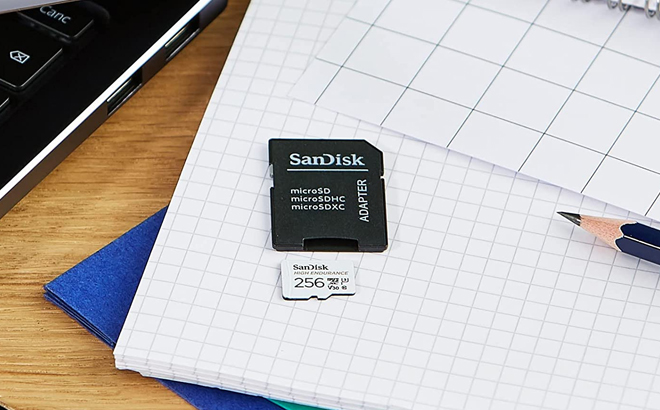 SanDisk 256GB MicroSD Card