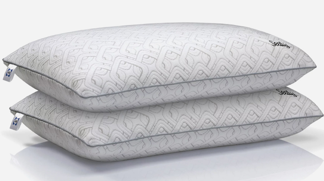 Sealy Medium Support Memory Foam Bed Pillow