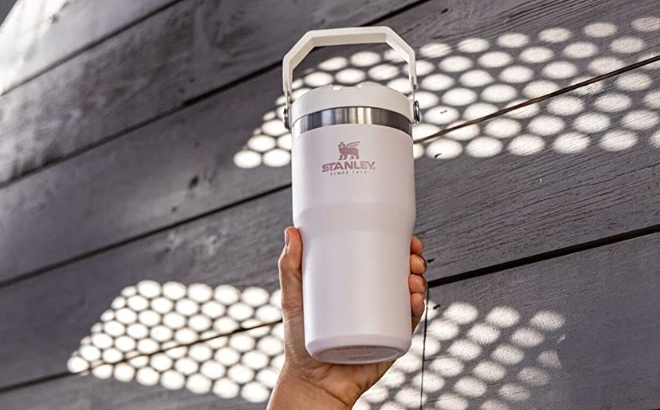 Stanley IceFlow Stainless Steel Tumbler with Straw