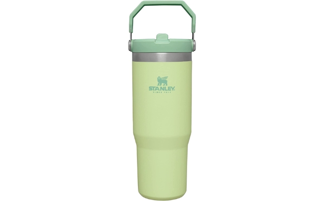 Stanley IceFlow Stainless Steel Tumbler with Straw