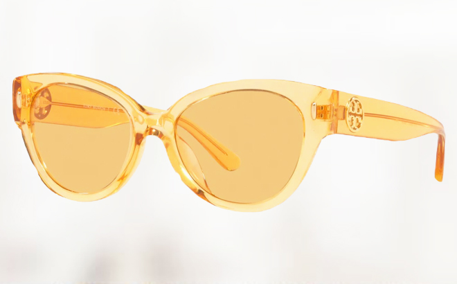 Tory Burch Womens 52mm Sunglasses on a Blurry Background 1