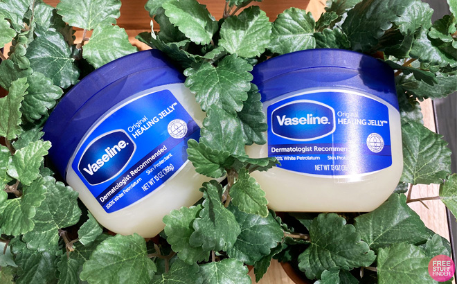 Two Vaseline Healing Jelly Original 7 5 oz on a Green Plant