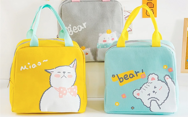 3 Cute Lunch Box Bags