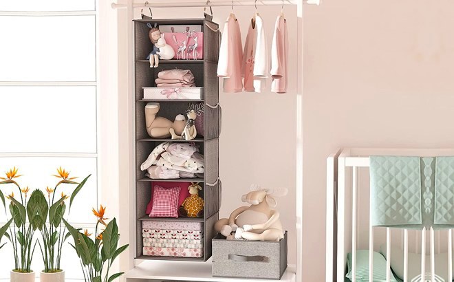 6 shelf closet organizer