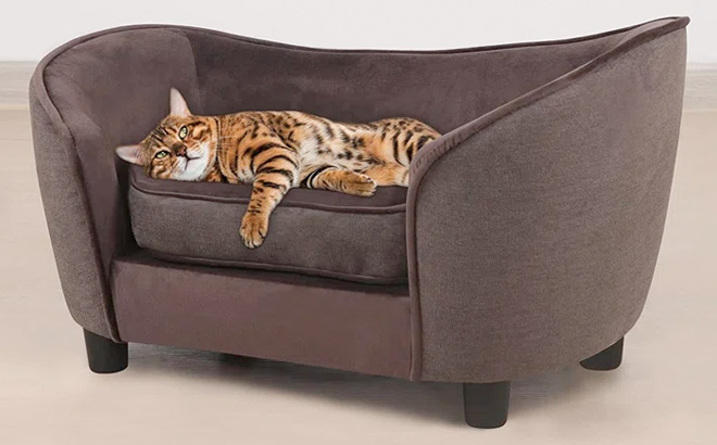 Brown Dog Sofa with Cat