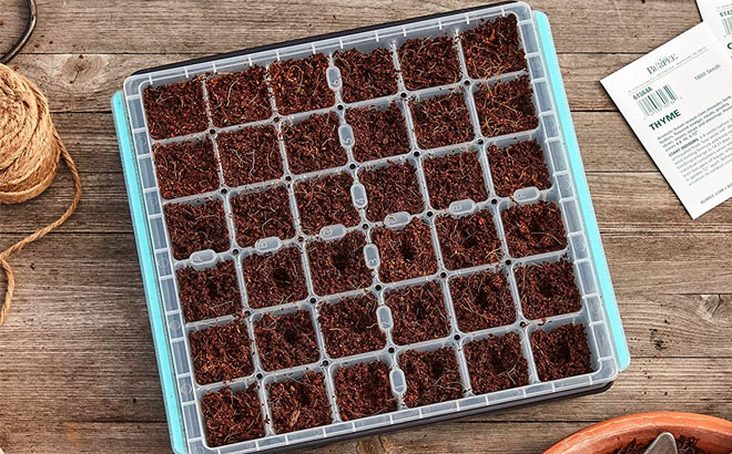 Burpee SuperSeed Seed Reusable Starting Tray 36 Cell