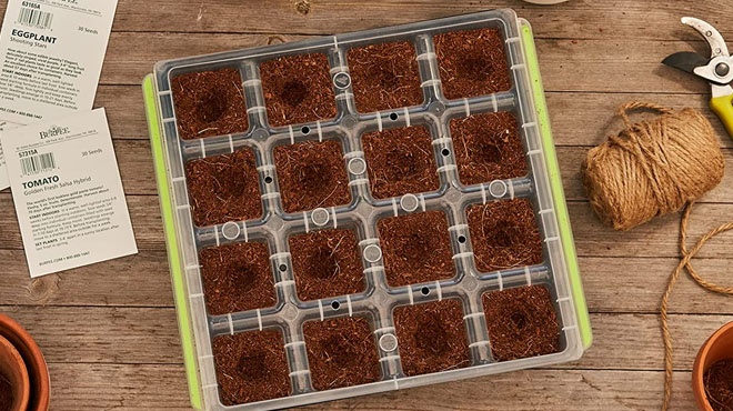 Burpee SuperSeed Seed Reusable Starting Tray