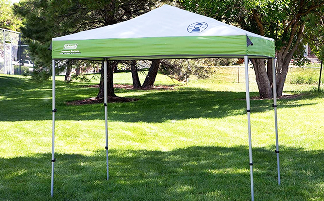 Coleman 10x10 Instant Canopy in Green Color on a Park