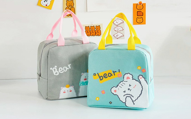 Cute Lunch Box Bags