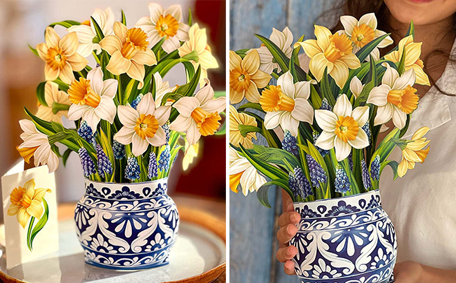 English Daffodils Flower Bouquet 3D