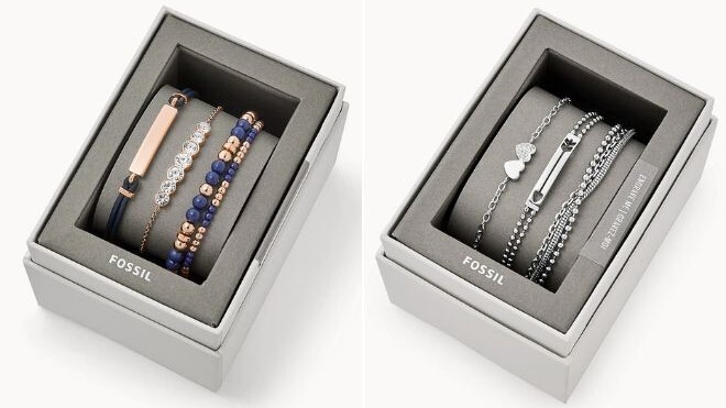 Fossil Stainless Steel Combo Set in Blue Color on the Left Side and in Silver Color on the Right Side