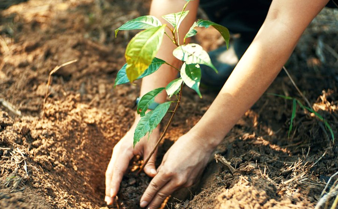 Free Earth Day Gift Pack for Xfinity Members