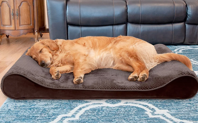 FurHaven Plush Velvet Luxe Lounger Contour Dog Pillow