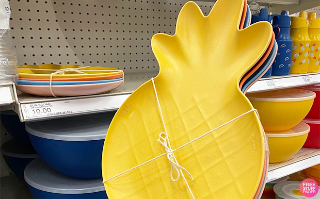 Hand Holding Sun Squad Bamboo and Melamine Pineapple Dinner Plates at Target