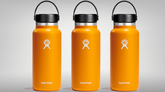 HydroFlask 32 Ounce Water Bottle Starfish Color