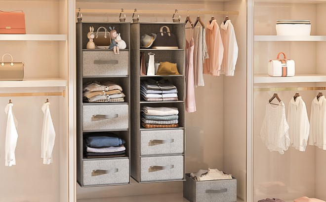 MONINXS 6 shelf closet organizer