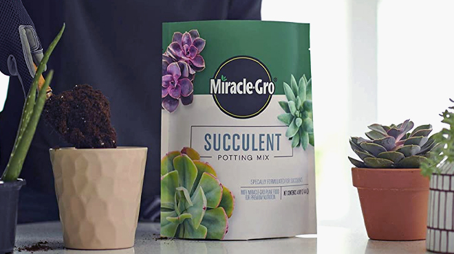 Miracle Gro Succulent Potting Mix on table