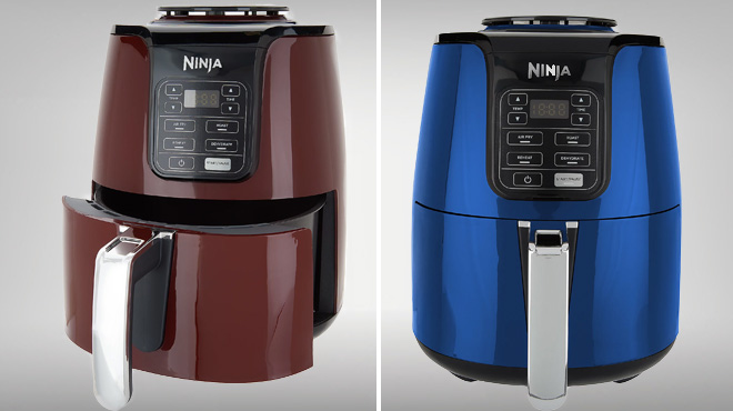 Two Different Colors of Ninja 4 Quart Air Fryer with Removable Multi Layer Rack