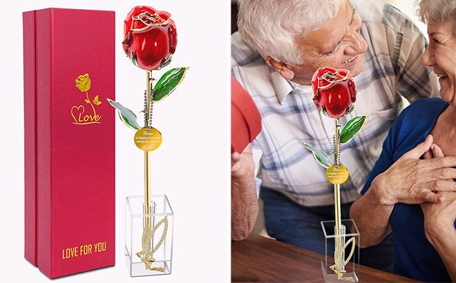 Valentines Rose 24K Gold Gift