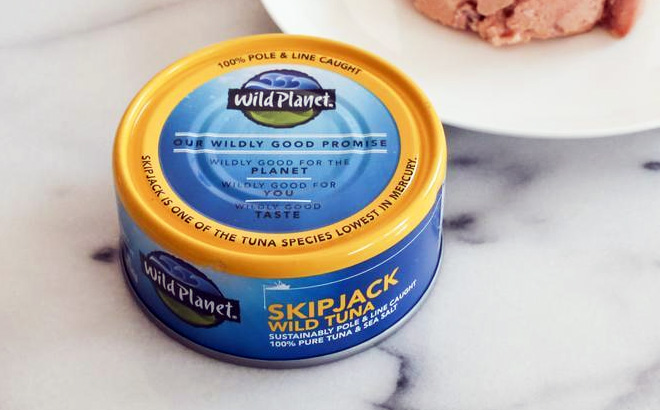 Wild Skipjack Tuna