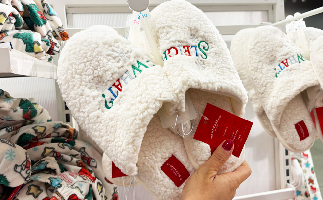 a Person Holding Wondershop Womens Sleigh What Slippers