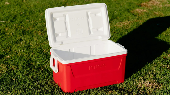 Open Igloo 48 QuartLaguna Ice Chest Cooler on the Grass