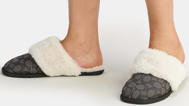 Person Wearing Coach Outlet Ziva Slippers in Black Color