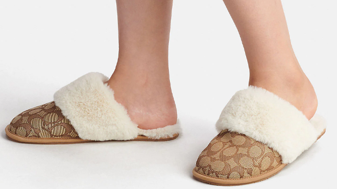 Person Wearing Coach Outlet Ziva Slippers in Khaki Color