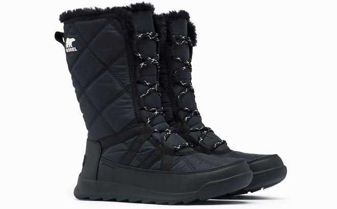 Sorel Womens Boots in Black Color