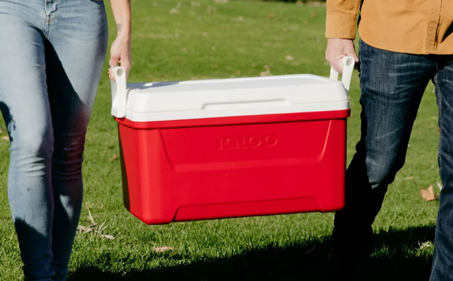 48 quart hot sale igloo cooler