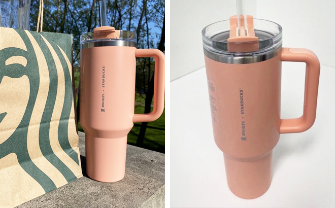 Stanley 40 oz tumbler louis vuitton｜TikTok Search