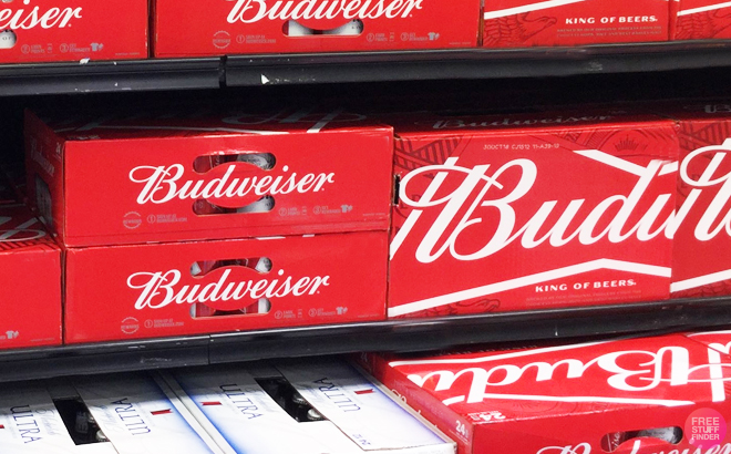 Budweiser American Lager Beer at Walgreens