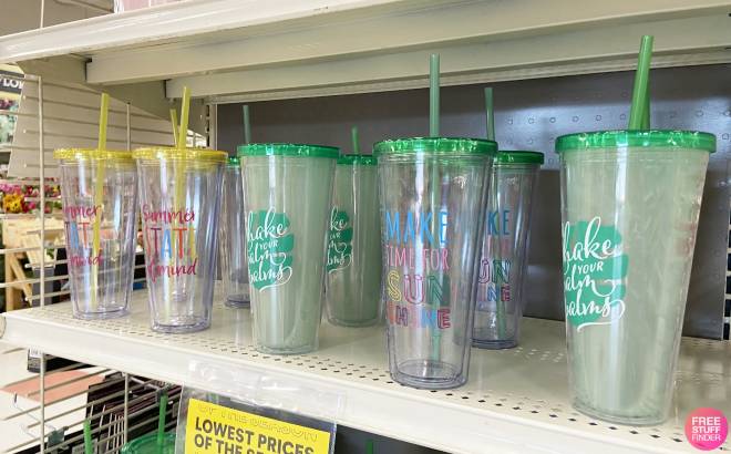 Celebrate It Summer Tumblers