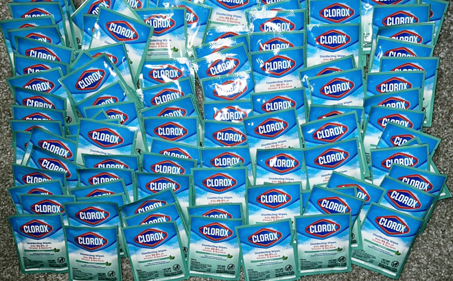 Clorox Disinfecting Wipes to Go 100 ct