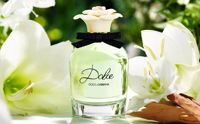 Dolce Gabbana Eau De Parfum Spray