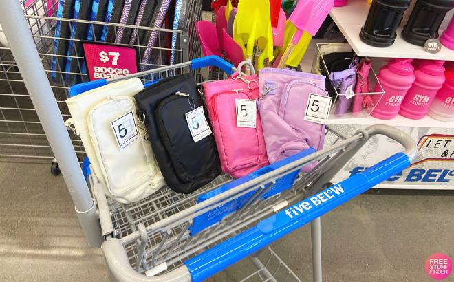 Five Below Water Bottle Bags in Cart