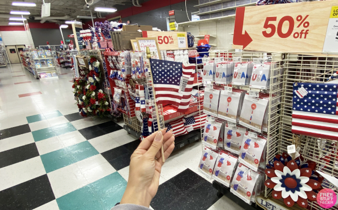 Hand Holding USA Small Flag