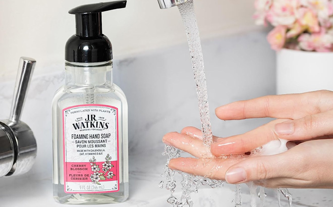 J R Watkins Foaming Hand Soap Pump with Dispenser