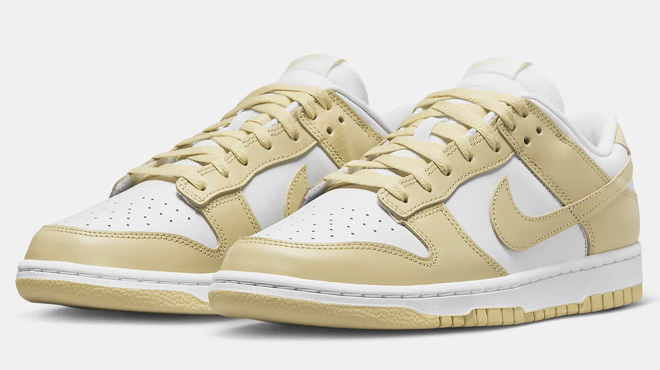 Nike Dunk Low Retro Mens Sneakers on White Background