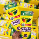 Person Holding Two Packs of Crayola 12 Count Colored Pencils